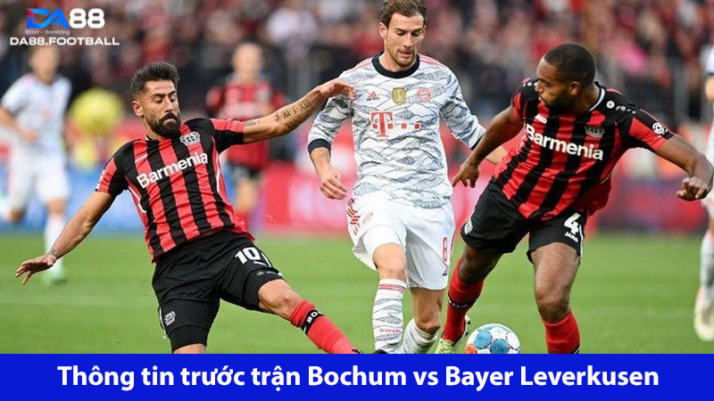 Tham gia nhận định về trận đấu Bochum - Bayer Leverkusen
