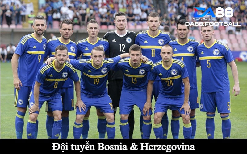 Đội hình đội tuyển Bosnia & Herzegovina