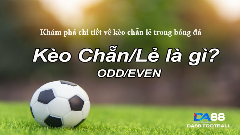 Cược chẵn lẻ trong bóng đá - hình thức cá cược phổ biến